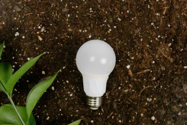 NEL 2025 GLI INVESTIMENTI IN ENERGIA PULITA SONO OLTRE IL DOPPIO DI QUELLI IN FONTI FOSSILI. ENER2CROWD: «OCCASIONE STORICA PER L’ITALIA»